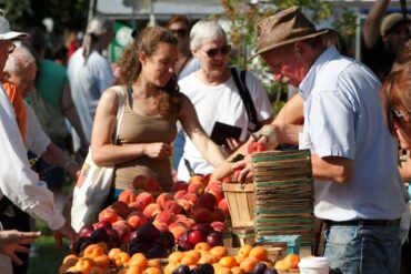 Farmers Markets in Buffalo New York