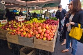 Farmers Markets in Cheektowaga New York