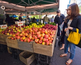 Farmers Markets in Cheektowaga New York