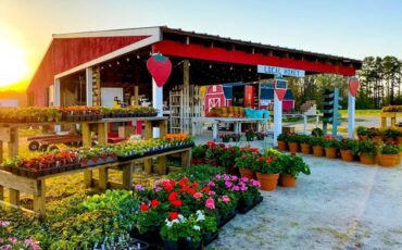 Farmers Markets in Chesapeake Virginia