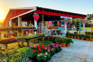 Farmers Markets in Chesapeake Virginia