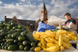 Farmers Markets in Cheyenne Wyoming