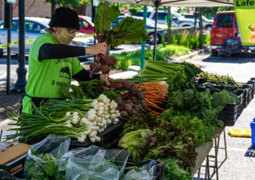 Farmers Markets in Chicago Illinois