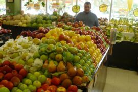 Farmers Markets in Davie Florida