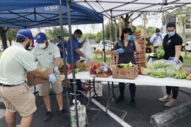 Farmers Markets in Doral Florida