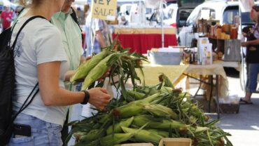 Farmers Markets in Elgin Illinois