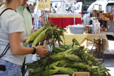 Farmers Markets in Elgin Illinois