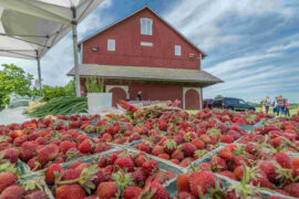 Farmers Markets in Fort Wayne Indiana