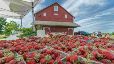 Farmers Markets in Fort Wayne Indiana