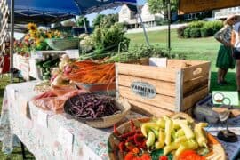 Farmers Markets in Hampton Virginia