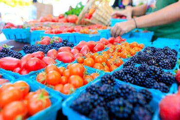 Farmers Markets in Hartford Connecticut