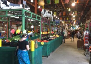 Farmers Markets in Hollywood Florida