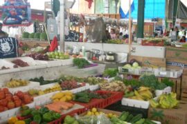 Farmers Markets in Homestead Florida