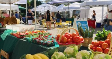 Farmers Markets in Kendall Florida