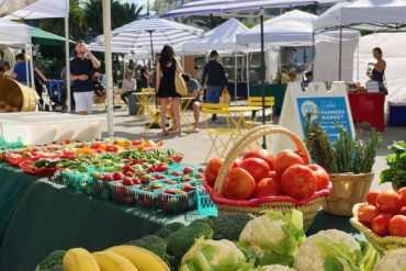 Farmers Markets in Kendall Florida