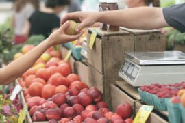 Farmers Markets in Lafayette Louisiana