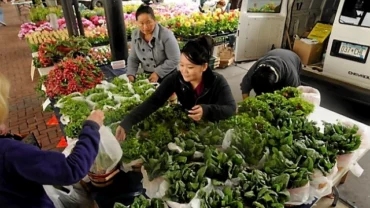 Farmers Markets in Lakeville Minnesota