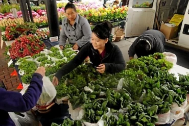 Farmers Markets in Lakeville Minnesota