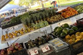 Farmers Markets in Lauderhill Florida