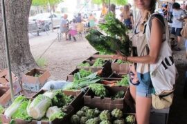 Farmers Markets in Miami Gardens Florida