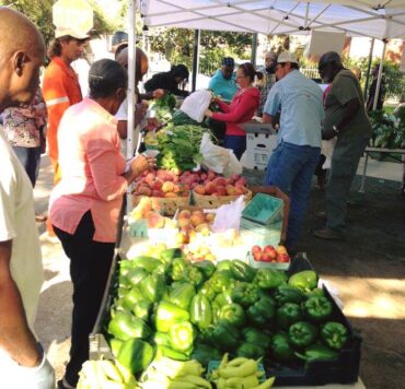 Farmers Markets in Mobile Alabama