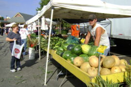 Farmers Markets in Palatine Illinois