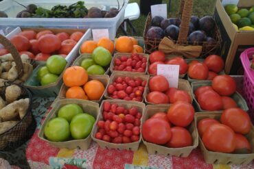 Farmers Markets in Palm Bay Florida