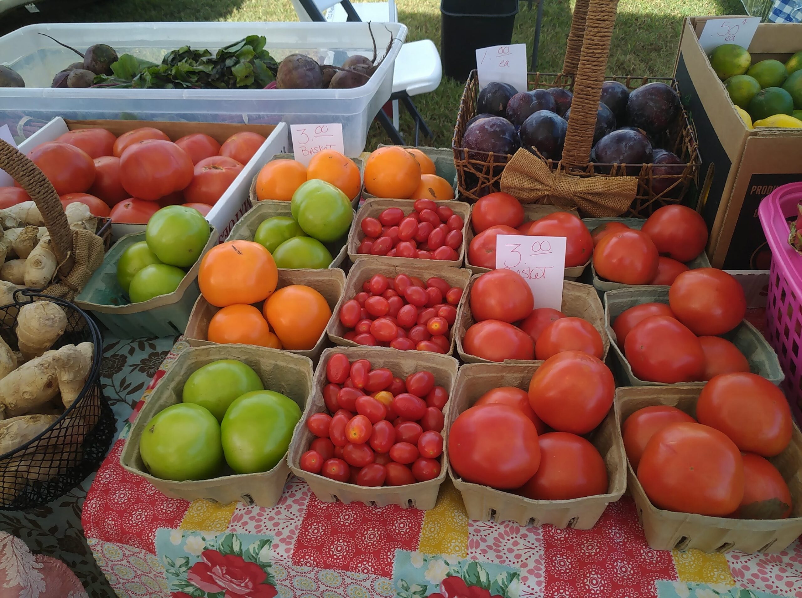 Farmers Markets in Palm Bay Florida