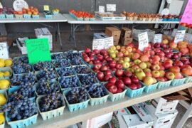 Farmers Markets in Peoria Illinois