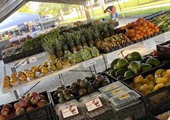 Farmers Markets in Plantation Florida