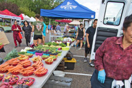 Farmers Markets in Plymouth Minnesota