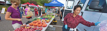 Farmers Markets in Plymouth Minnesota