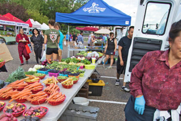 Farmers Markets in Plymouth Minnesota