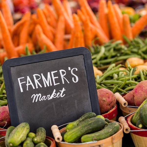 Farmers Markets in Riverview Florida