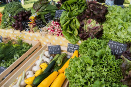 Farmers Markets in Rochester New York