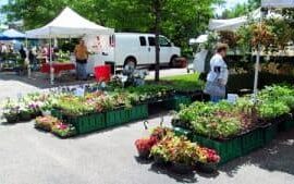 Farmers Markets in Schaumburg Illinois