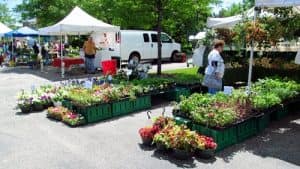 Farmers Markets in Schaumburg Illinois