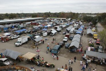 Farmers Markets in Tampa Florida