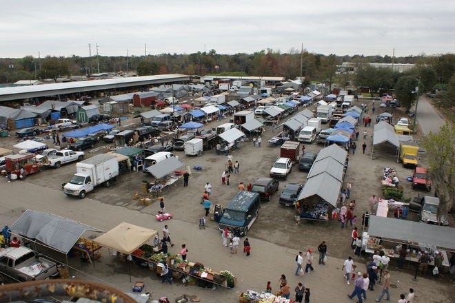 Farmers Markets in Tampa Florida