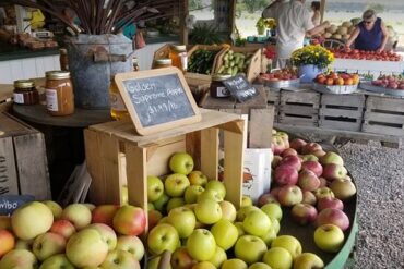 Farmers Markets in Virginia Beach Virginia