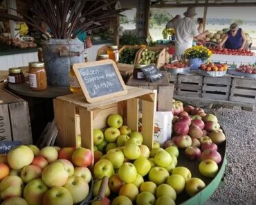 Farmers Markets in Virginia Beach Virginia