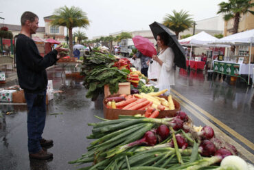 Farmers Markets in Wesley Chapel Florida