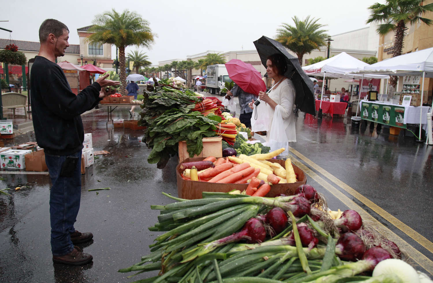 Farmers Markets in Wesley Chapel Florida