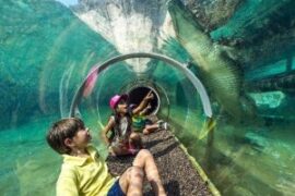 Free Attractions for Little Kids in Kendall Florida