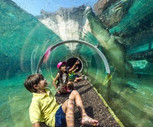 Free Attractions for Little Kids in Kendall Florida