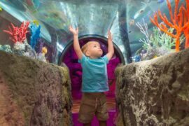 Free Attractions for Little Kids in Kissimmee Florida