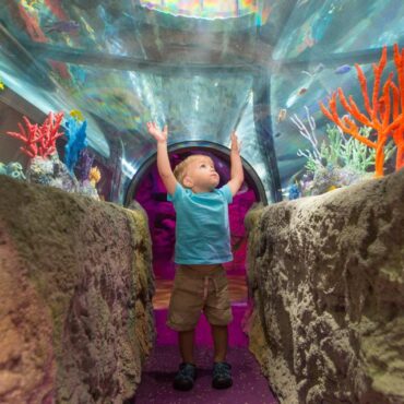 Free Attractions for Little Kids in Kissimmee Florida