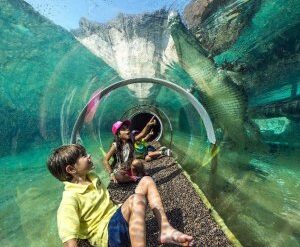 Free Attractions for Toddlers in Doral Florida