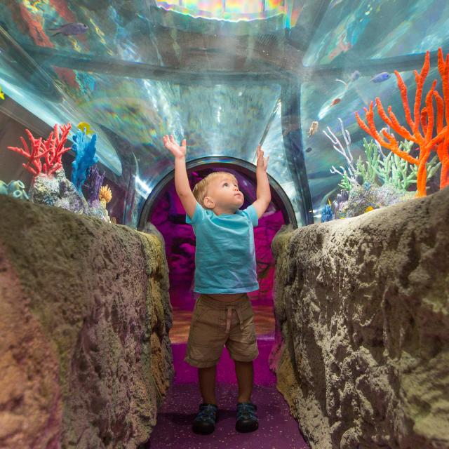 Free Attractions for Toddlers in Kissimmee Florida