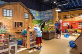 Free Attractions for Toddlers in Portsmouth Virginia